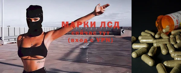 ALPHA-PVP Кинешма