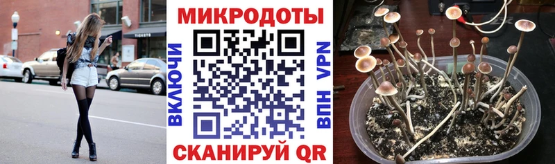 Галлюциногенные грибы мухоморы  Купить  Артёмовск 